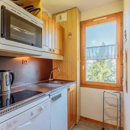 公寓 Calme A La Plagne, 3 Pers, Animaux Admis - Fr-1-353-6 *