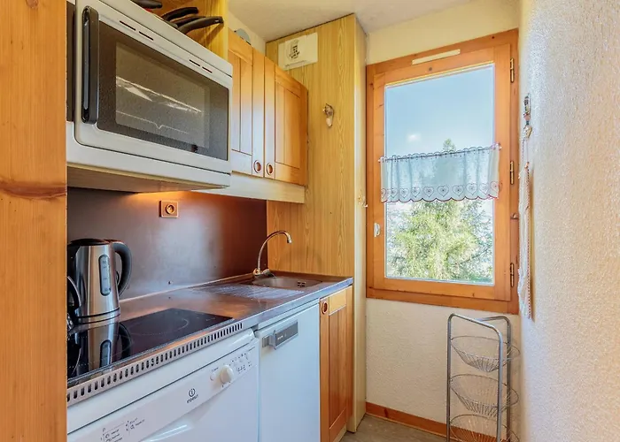 Apartman Calme A La Plagne, 3 Pers, Animaux Admis - Fr-1-353-6 *